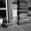 Dítě / Child